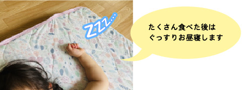 たくさん食べた後は、ぐっすりお昼寝します。