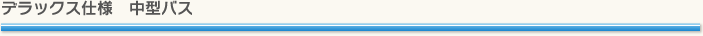 デラックス仕様 中型バス