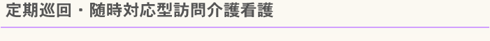 定期巡回・随時対応型訪問介護看護　その他詳細