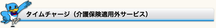 タイムチャージ（介護保険適用外サービス）