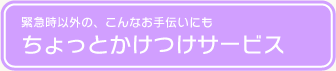 緊急事以外の、こんなお手伝いにも ちょっとかけつけサービス
