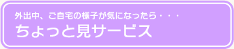 外出中、ご自宅の様子が気になったら・・・ ちょっと見サービス