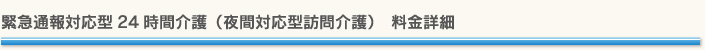緊急通報対応型24時間介護(夜間対応型訪問介護) 料金詳細