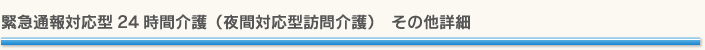 緊急通報対応型24時間介護(夜間対応型訪問介護) その他詳細