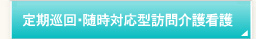 定期巡回・随時対応型訪問介護看護